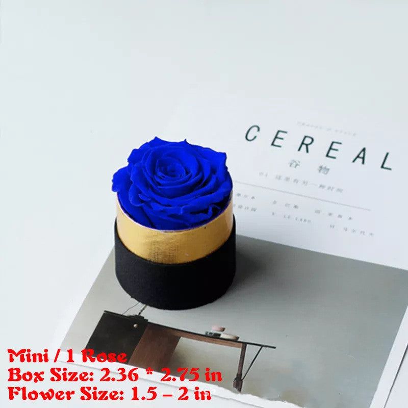 Preserved Flower Rose Hug Bucket Box
