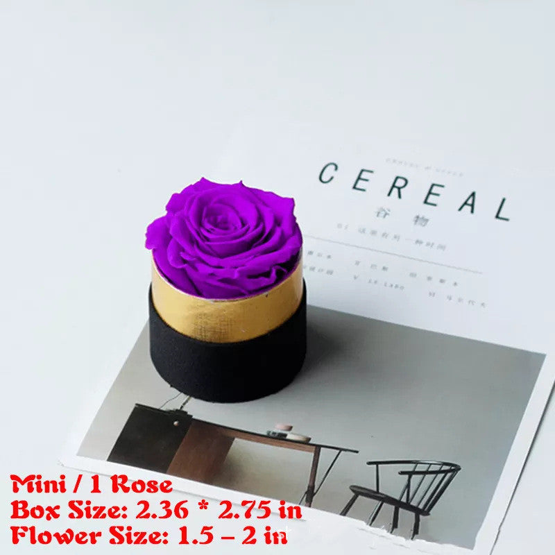 Preserved Flower Rose Hug Bucket Box