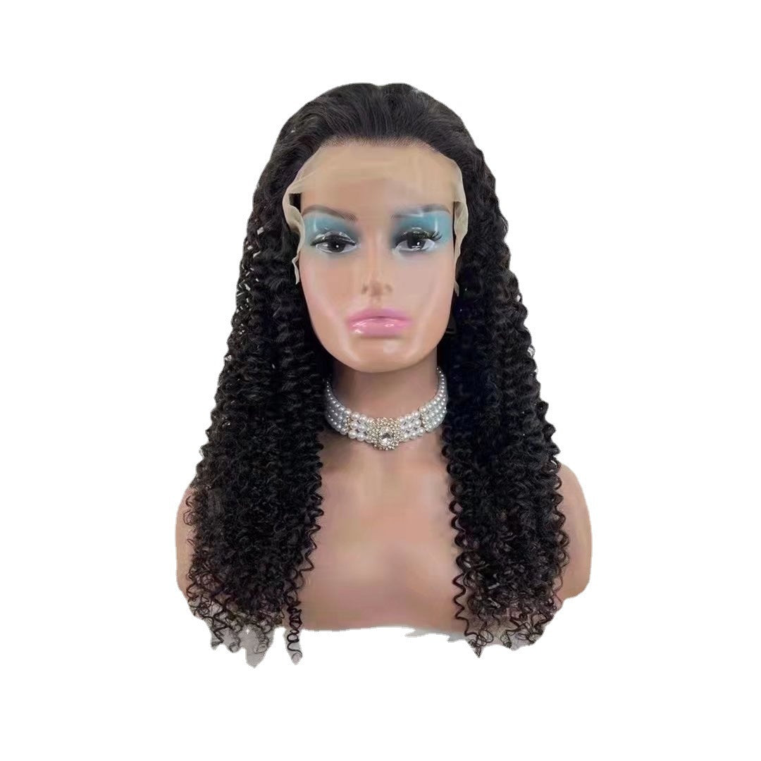 Juju Beauty Jerry Curly 13x4 Lace Front Human Hair Wigs150