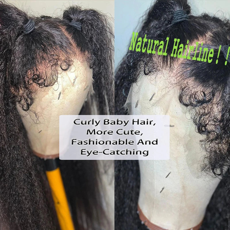 Kinky Straight Yaki Brazilian Virgin Hair Lace Wigs Pre Plucked