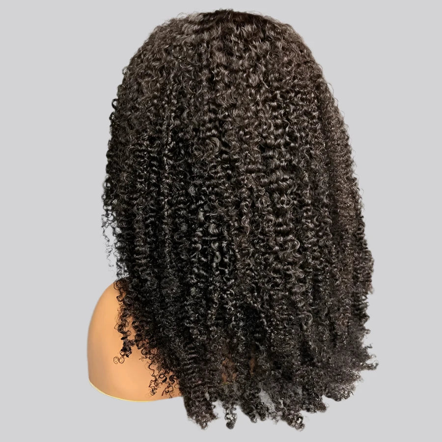 Juju Beauty Lace Full Frontal Wig Brazilian Curly Human Hair Wigs Invisible HD Lace Glueless